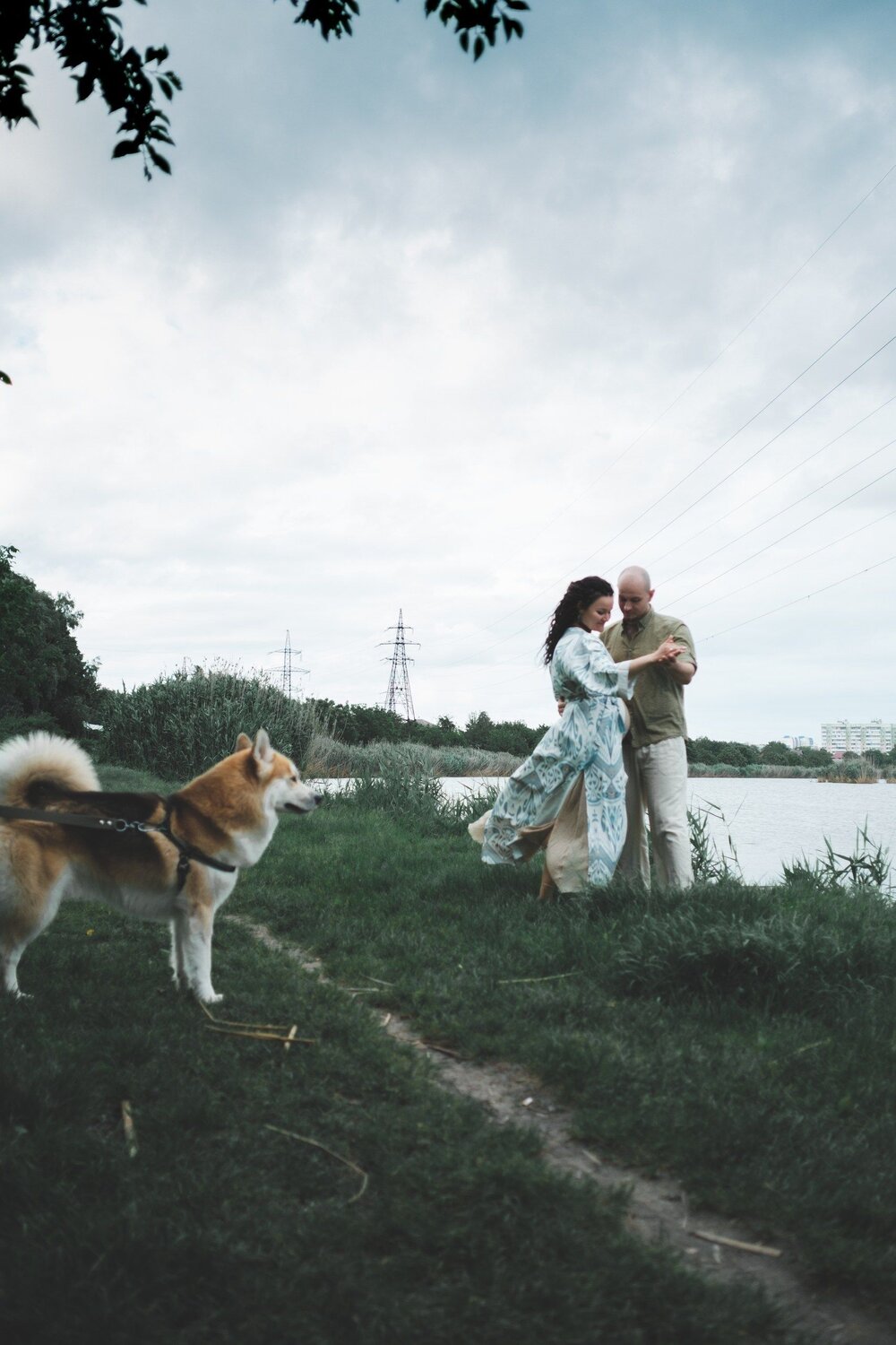 Photo #12154845