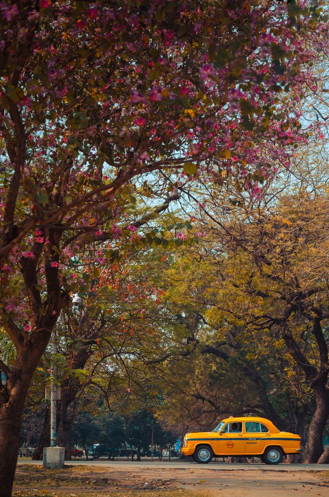 Photograph by Sayan Das