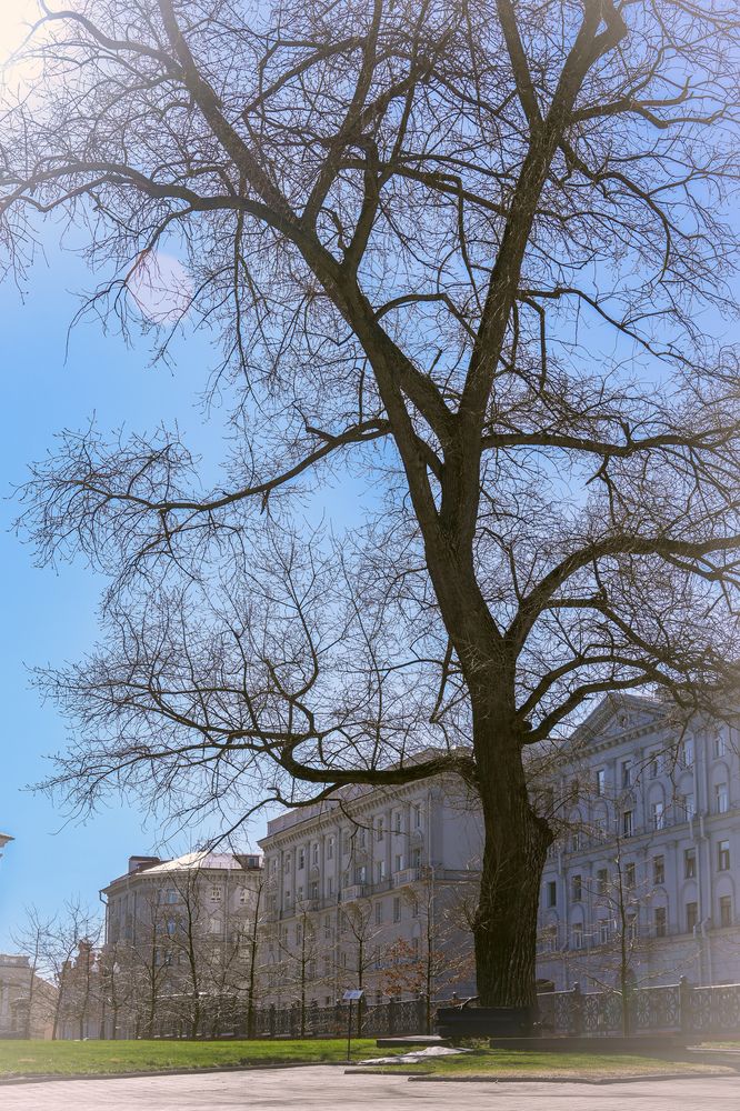 Photograph by Vol-de-M