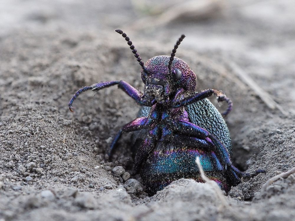 Photograph by Алексей Поляков