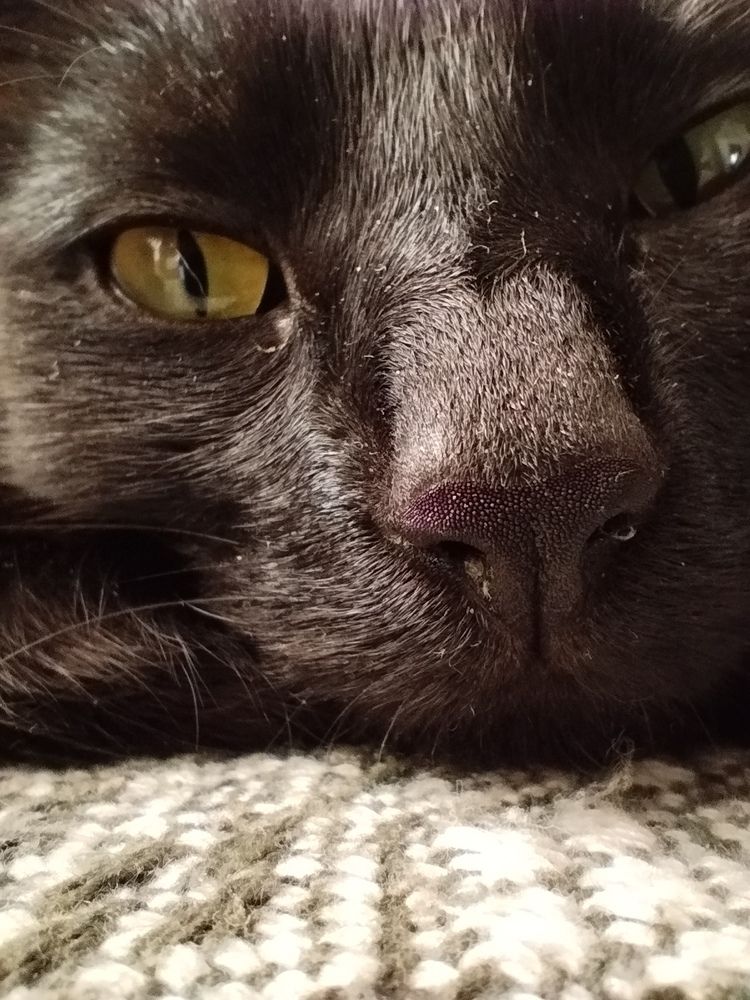 Photograph by Наталья Зяткина