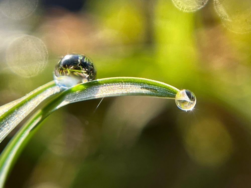 Photograph by Татьяна Михайловна