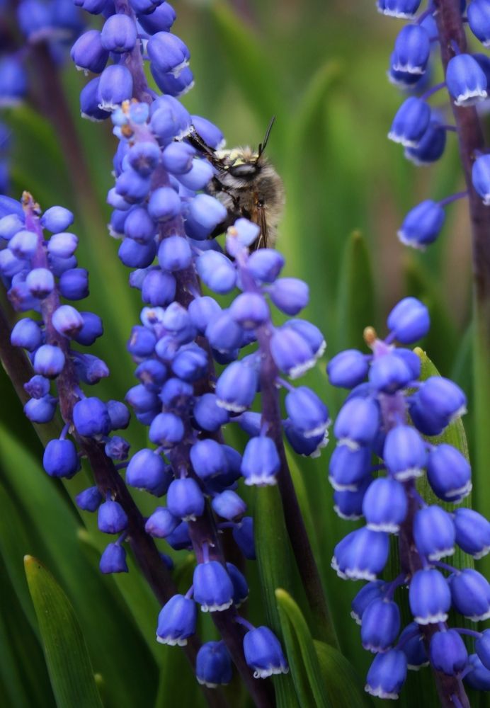 Фотография автора Татьяна Сычёва