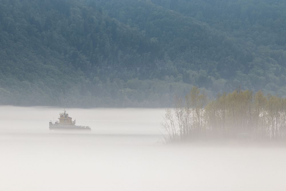 Photograph by Lapin Vitaly