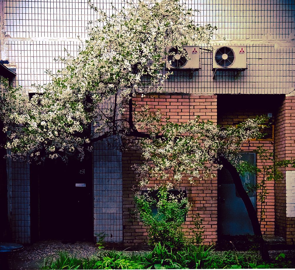 Photograph by Vol-de-M