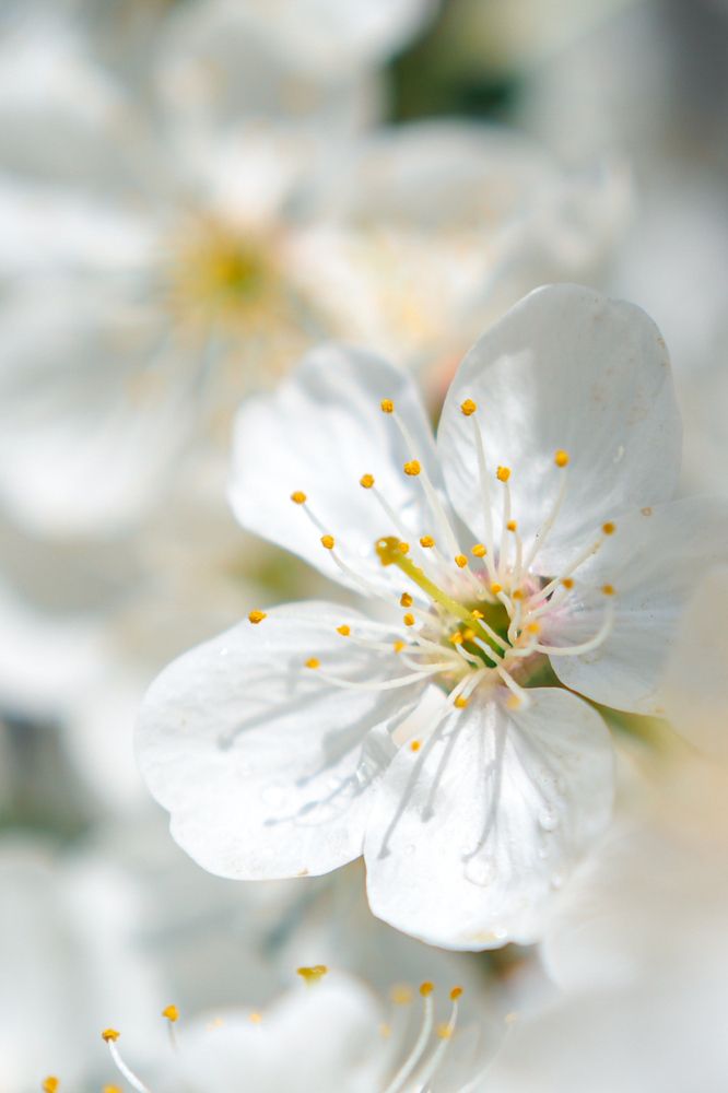Photograph by Катерина Давыдова