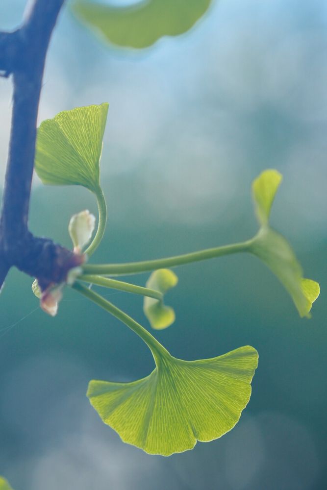 Photograph by Катерина Давыдова