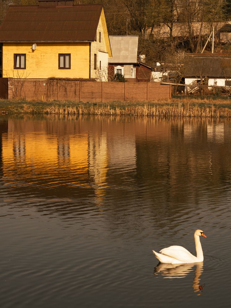 Photograph by Людмила