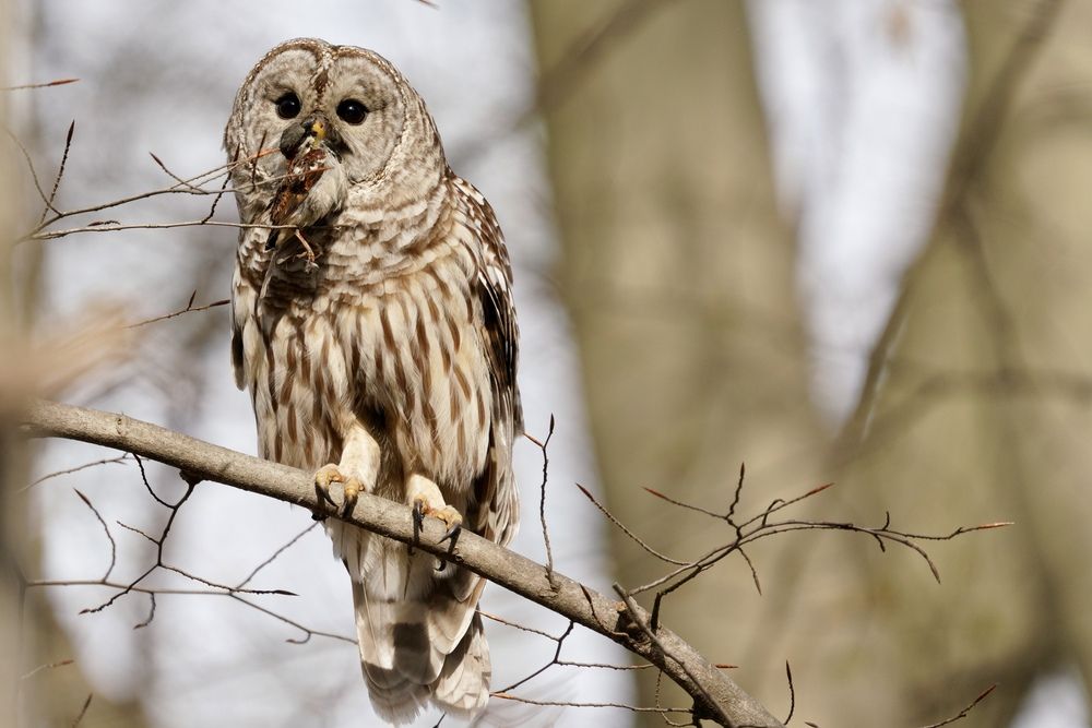 Photograph by Tyler Dewees