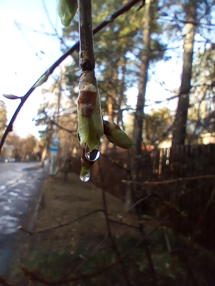 Photograph by Наталья Сырых