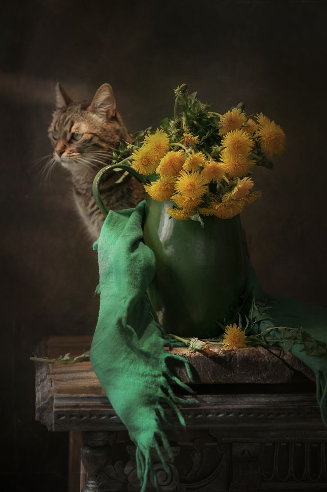 Photograph by Сушкевич Светлана