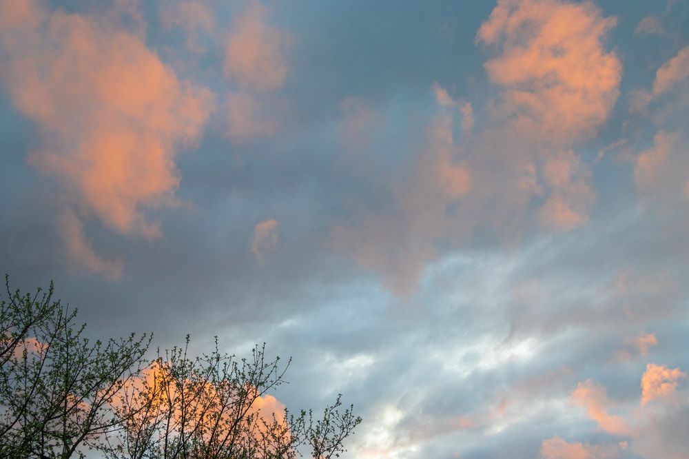 Photograph by Сергей Щербаков