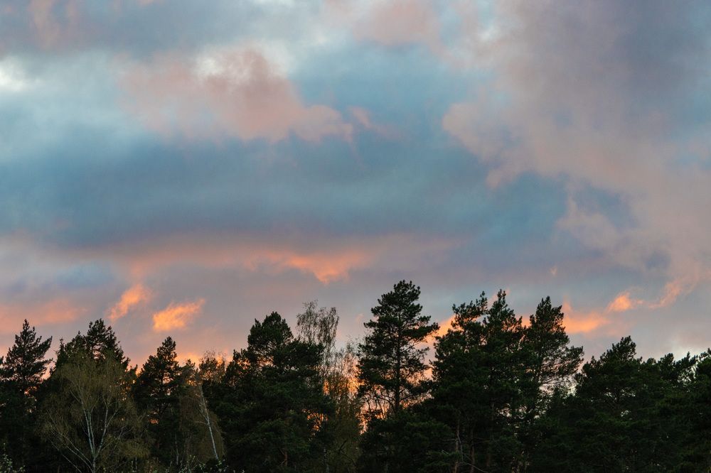 Photograph by Сергей Щербаков