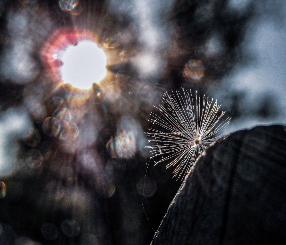 Photograph by Инна Иванова