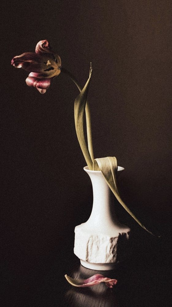 Увядающая красота (Fading beauty)