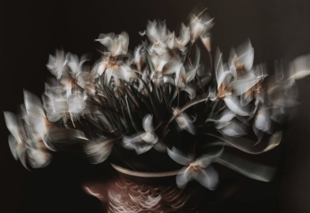 Букет подснежников (Snowdrops bouquet)