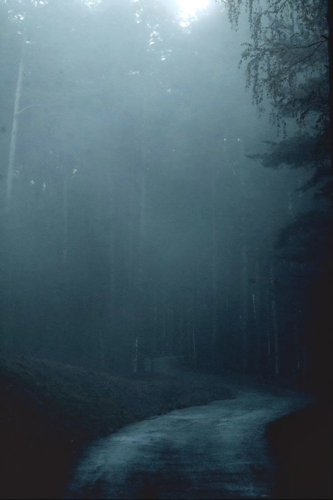 Фотография автора Роман Рамазанов