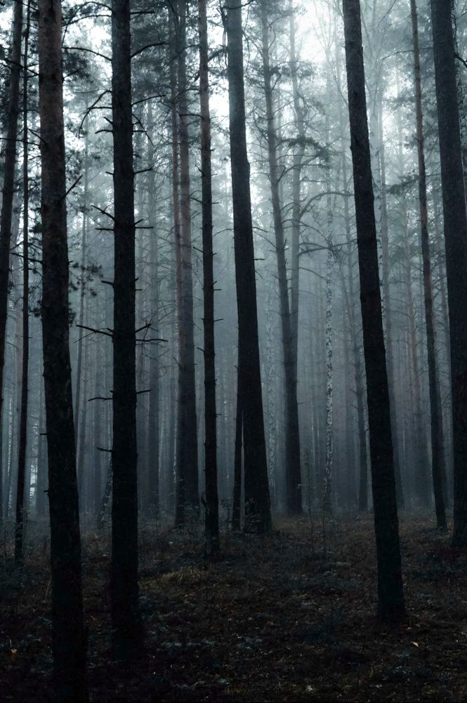 Фотография автора Роман Рамазанов