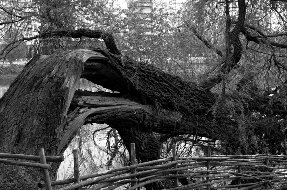 Жить! Несмотря ни на Что.......(Live! No Matter What.......)