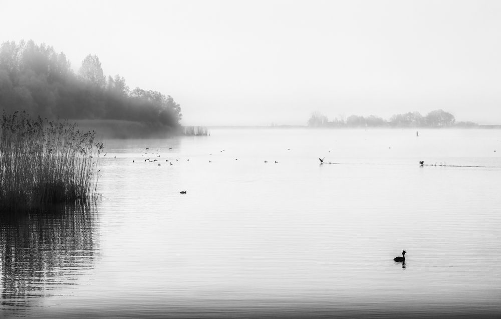 Photograph by Mostafa Mohammad Beigi