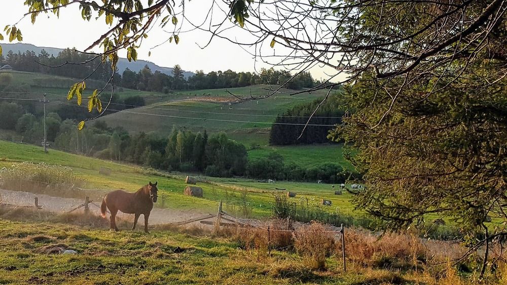 Photo #12156218
