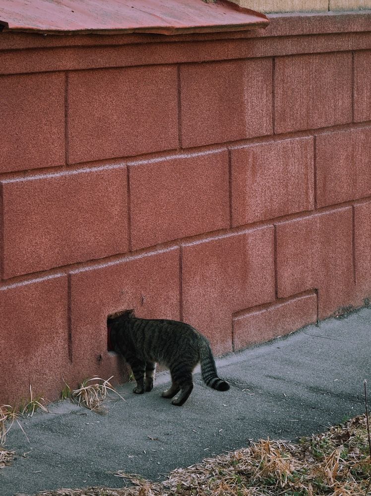 Photograph by Кирилл Соколов