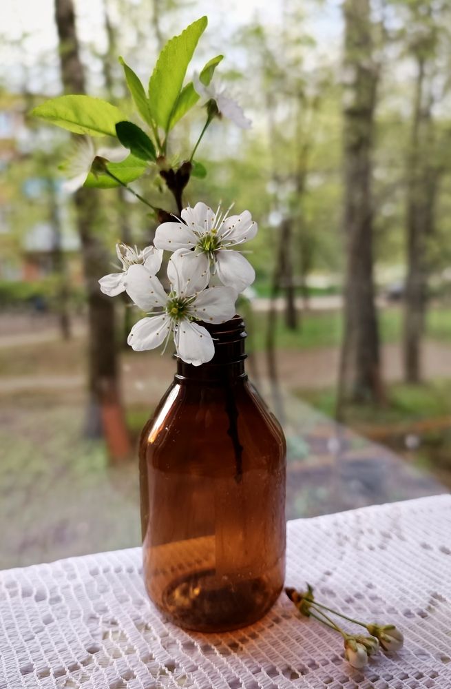 Фотография автора Наталья Соколова