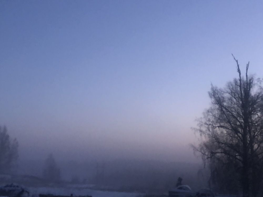 Photograph by Елена Федорова