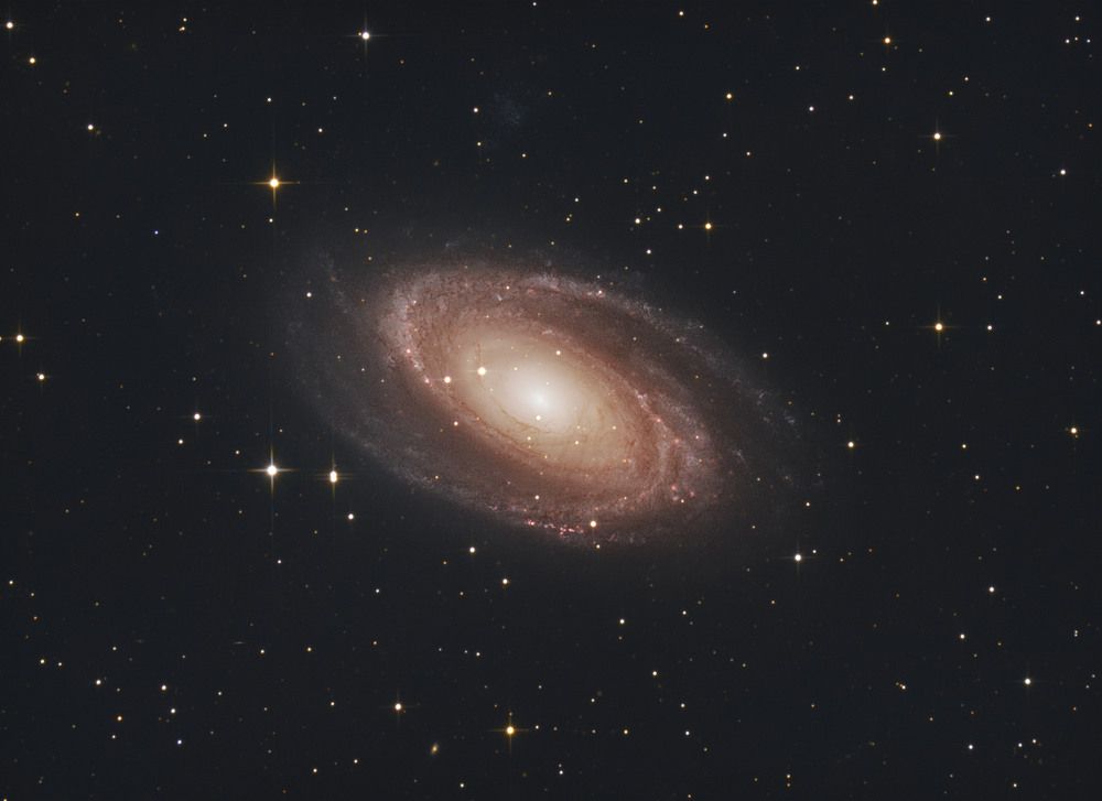 Photograph by ANDREI KOROTKOV