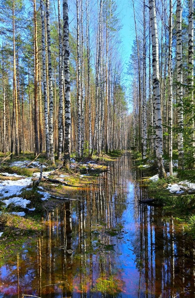 Photograph by ANDREY PERESHEIN