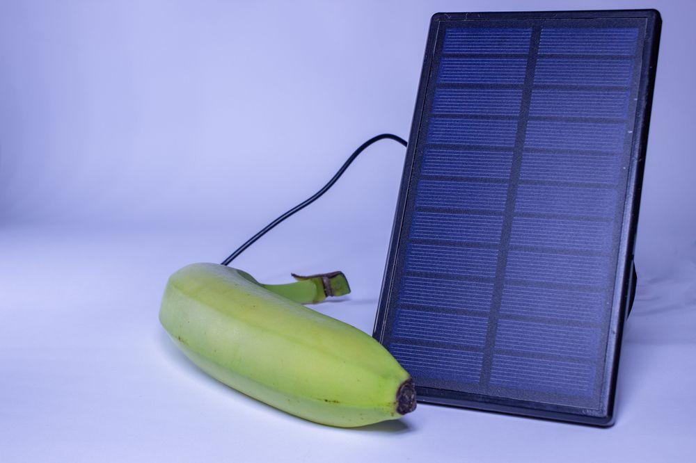 Фотография автора János Rábli