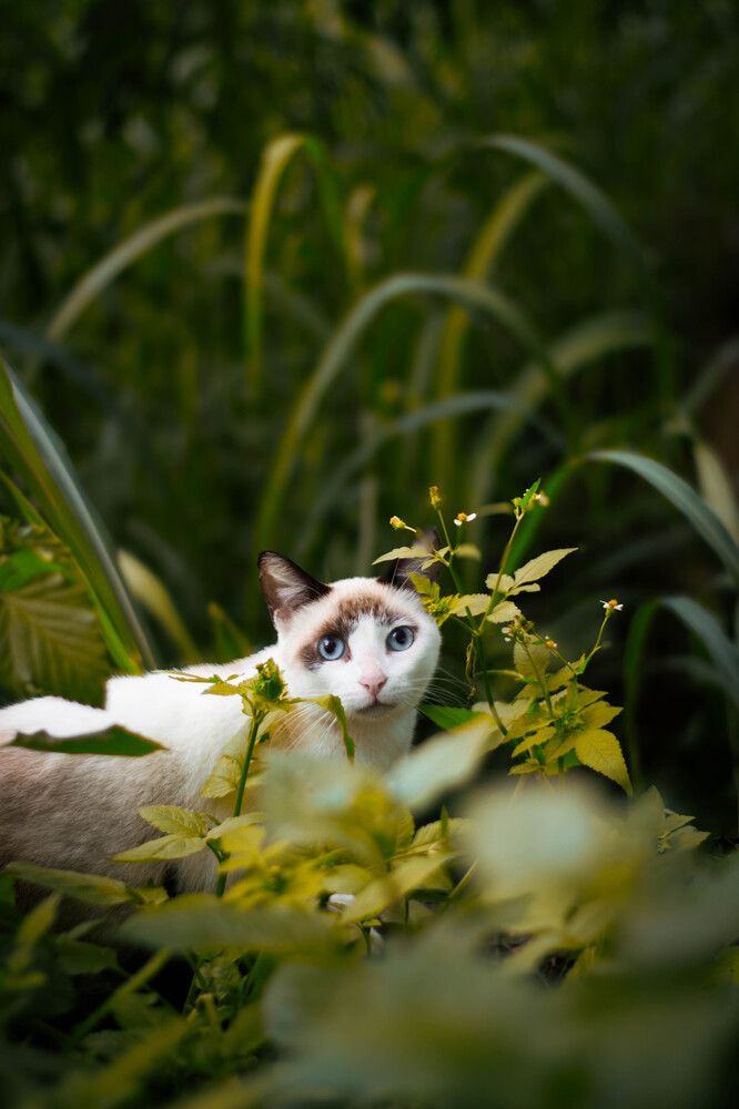 Photo #12157349