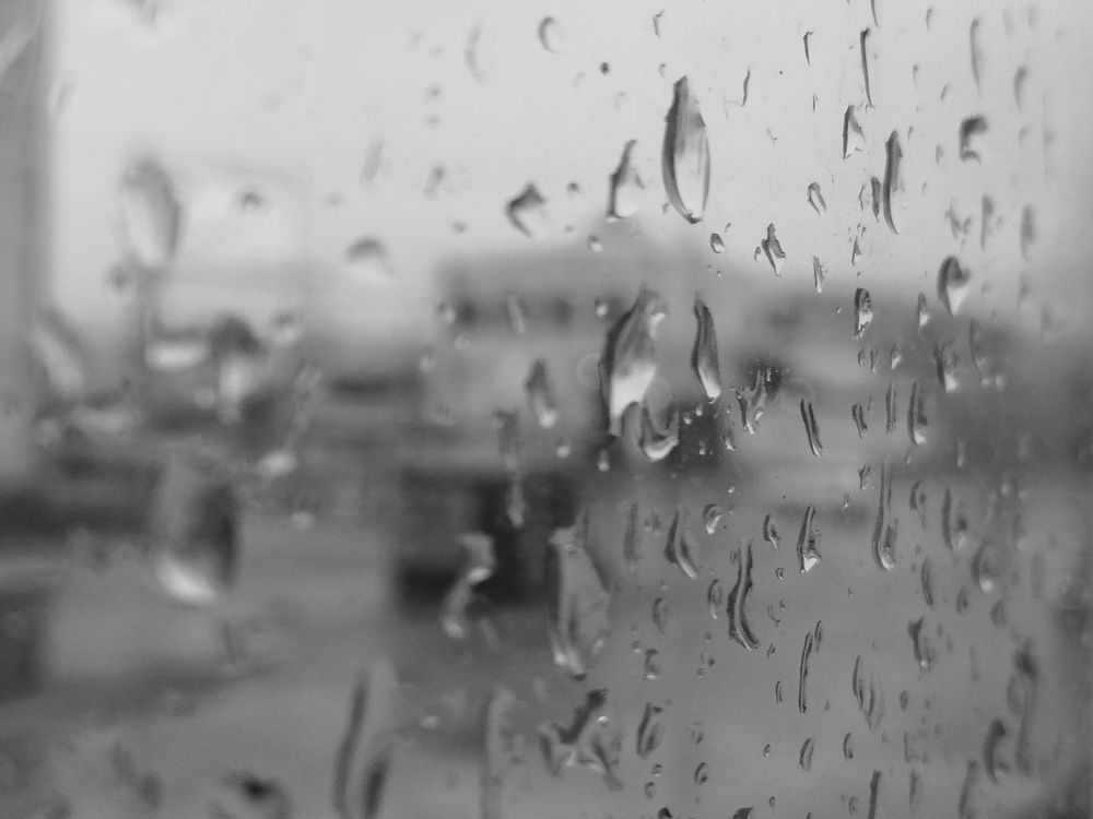 Фотография автора Kristine Sargsyan