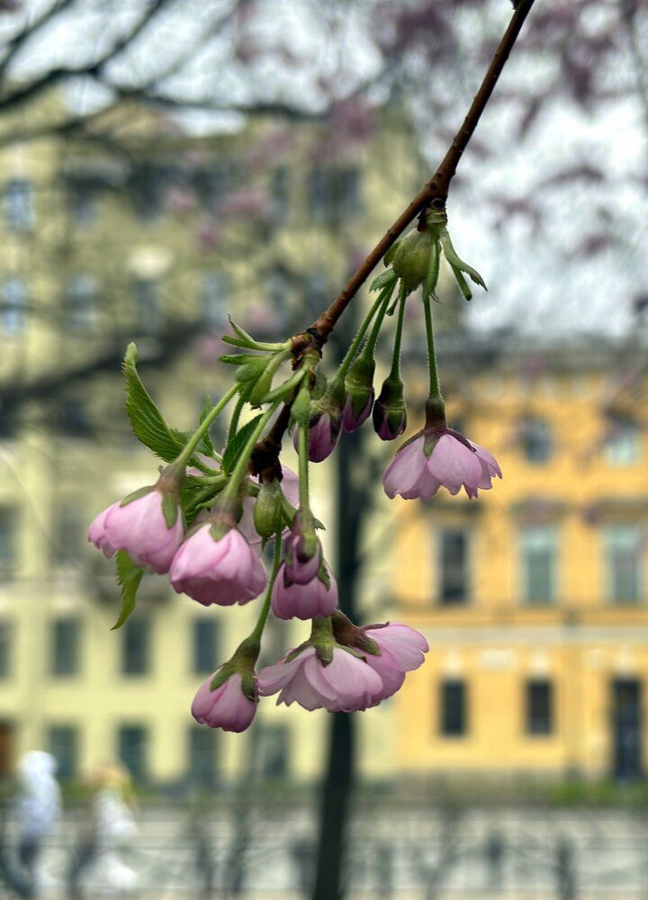 Photograph by Татьяна Смирнова