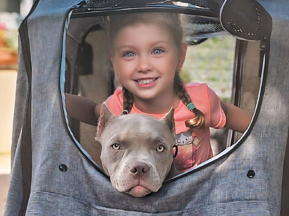 В Михайловском.