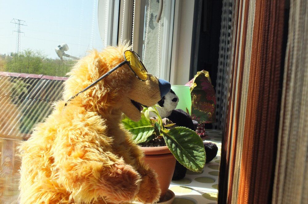 Фотография автора Татьяна Мишкина