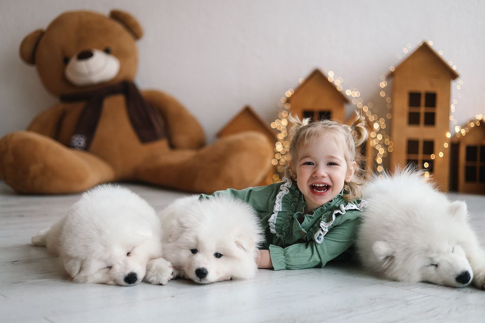 Фотография автора Наталия Евграфова