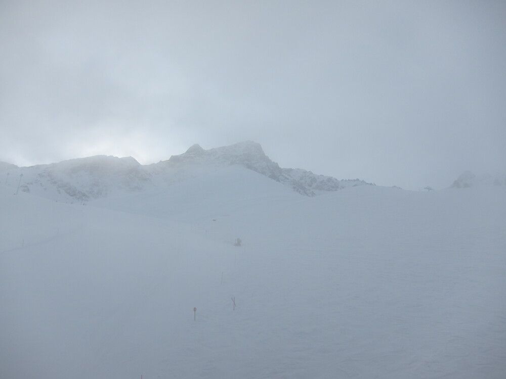 Photo #12157629