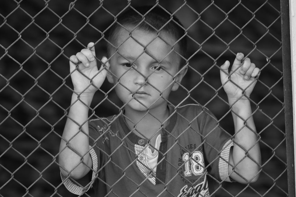 Photograph by Елена Лебедева