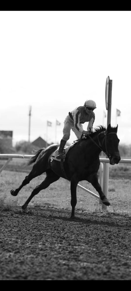 Photograph by Татьяна Полоцкая