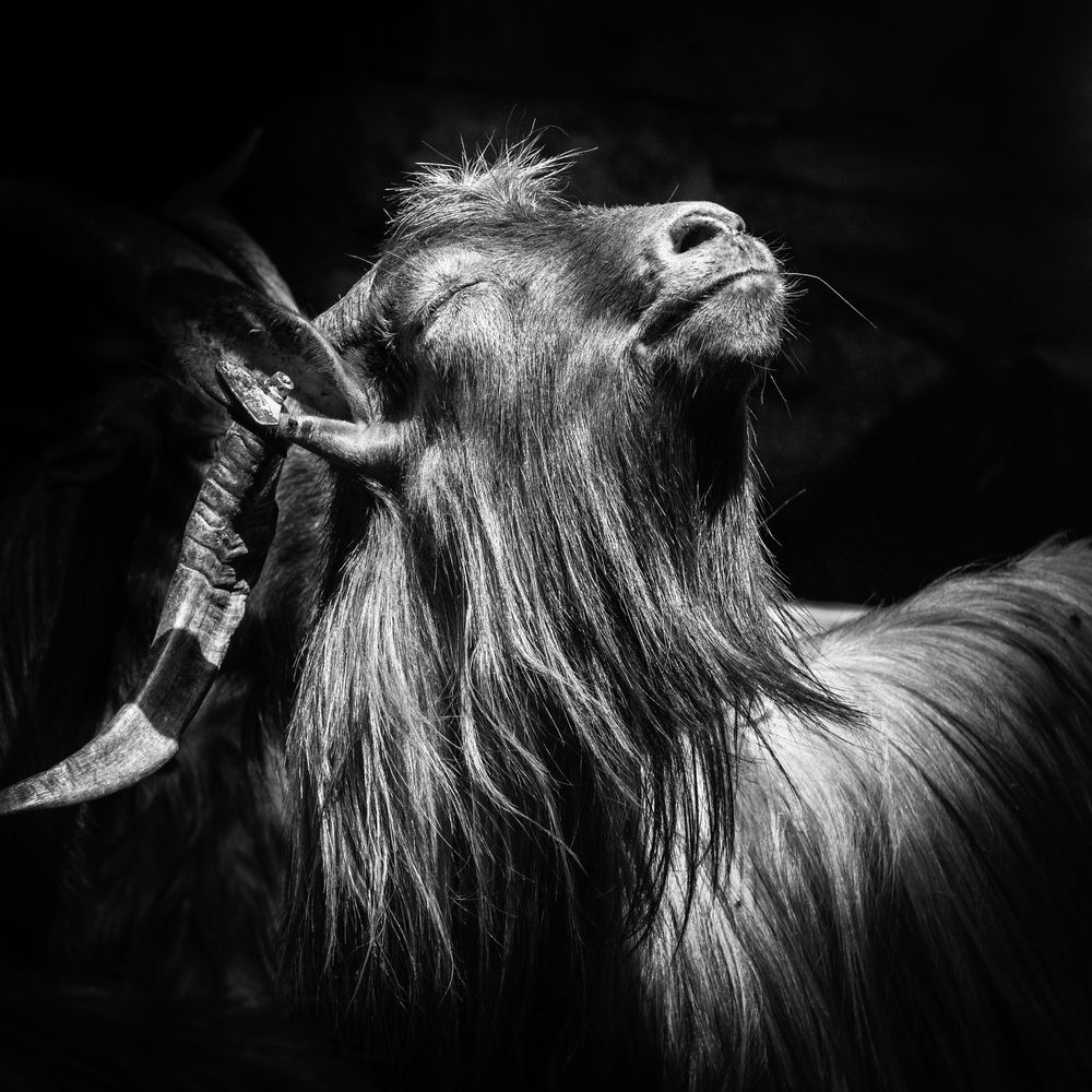 Photograph by Анна Стрелковская