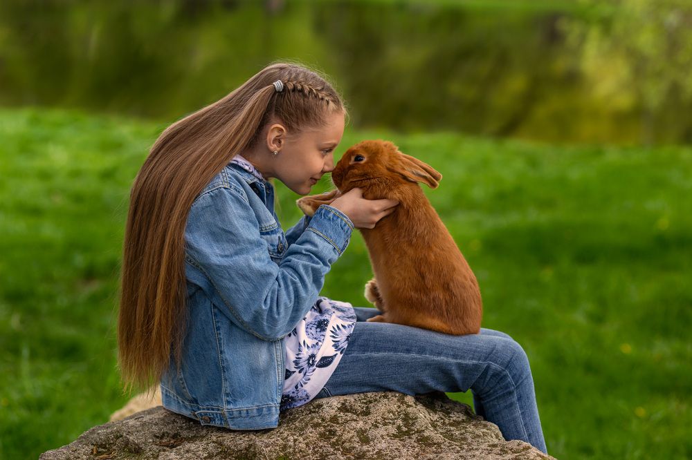 Фотография автора Dmitri Gorbunov