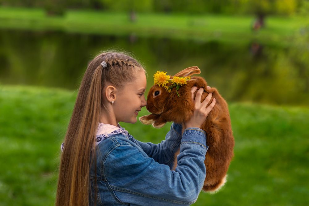 Фотография автора Dmitri Gorbunov