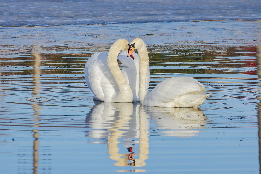 Photograph by Юрий Фефилов