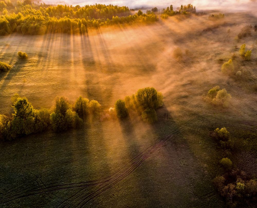 Photograph by Тимофей Шутов