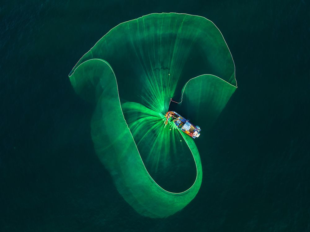 Mushrooms In The Ocean