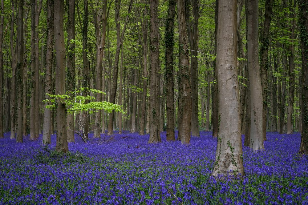 Photograph by Sergejs Barkans