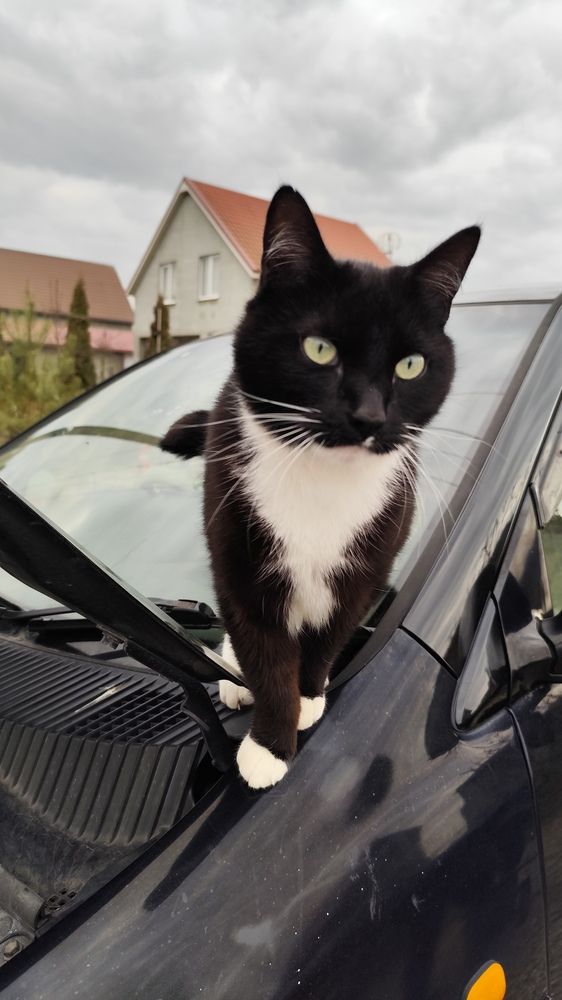 Фотография автора Татьяна Мишкина