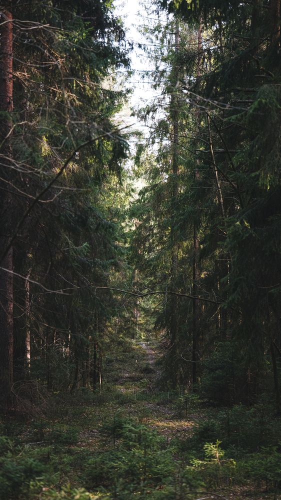Photograph by Vadim Plekhanov