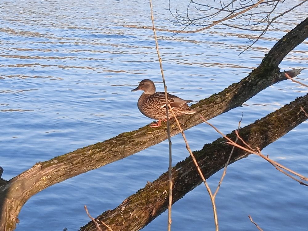 Photograph by Фёдор Викторович
